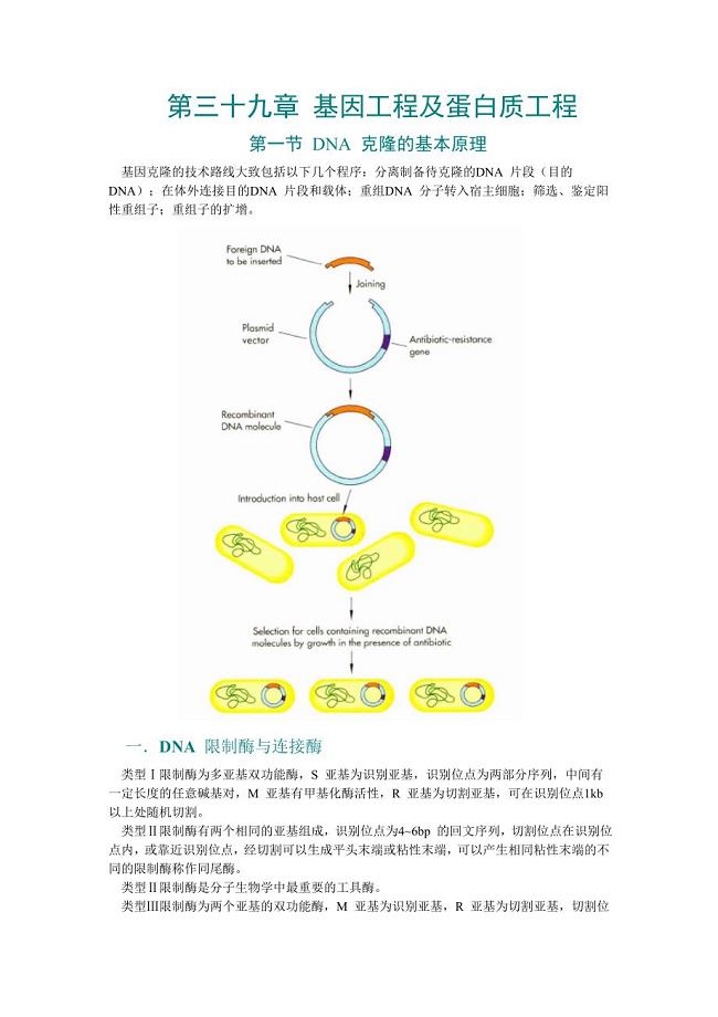 第39章 基因工程及蛋白质工程