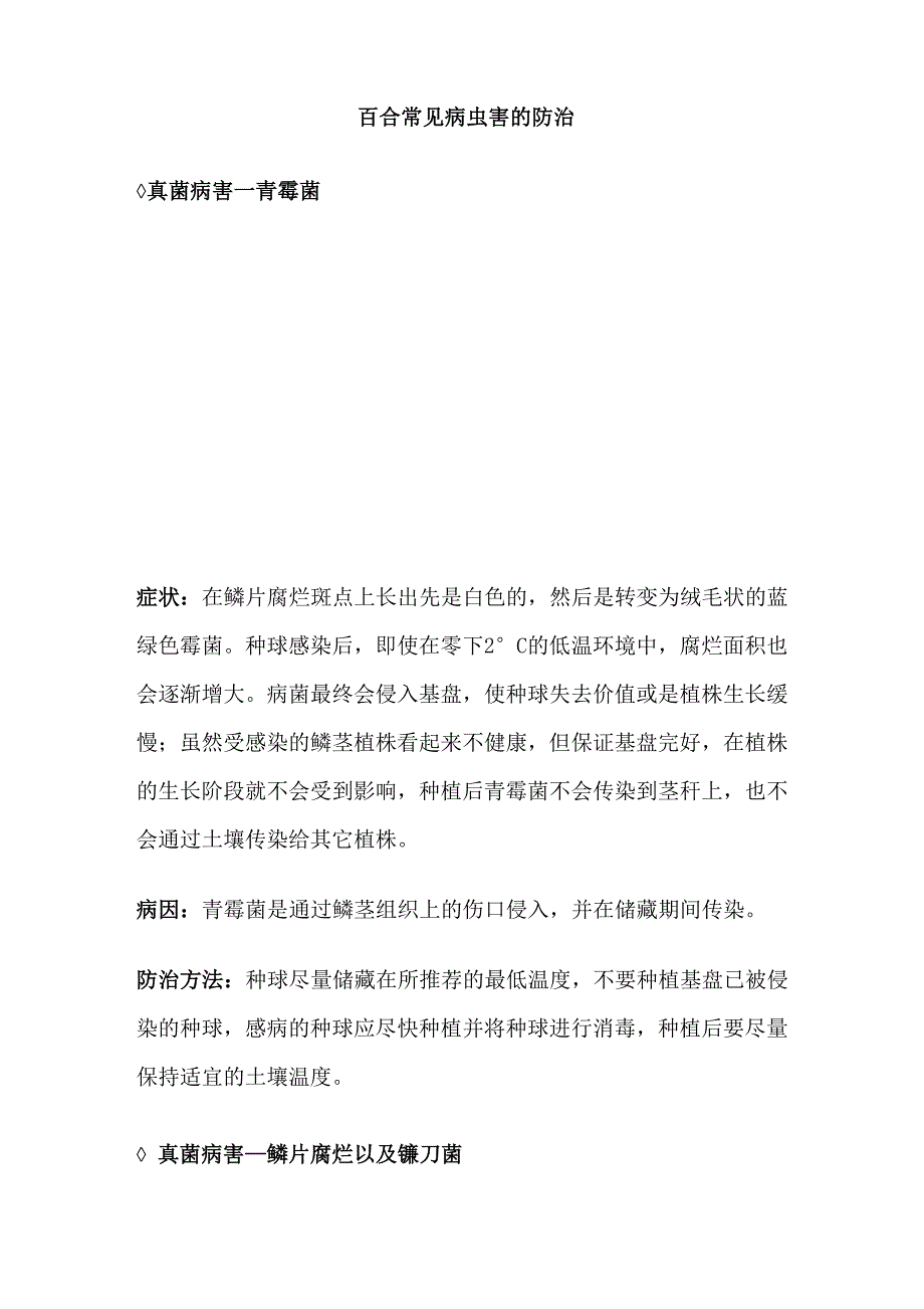 百合常见病虫害的防治知识_第1页
