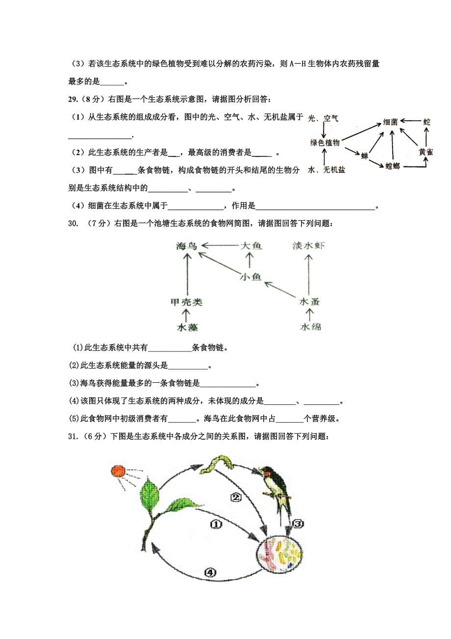 济南版初中生物《生态系统》章节练习题_第5页