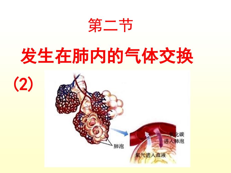 第二节发生在肺内的气体交换(2)_第2页