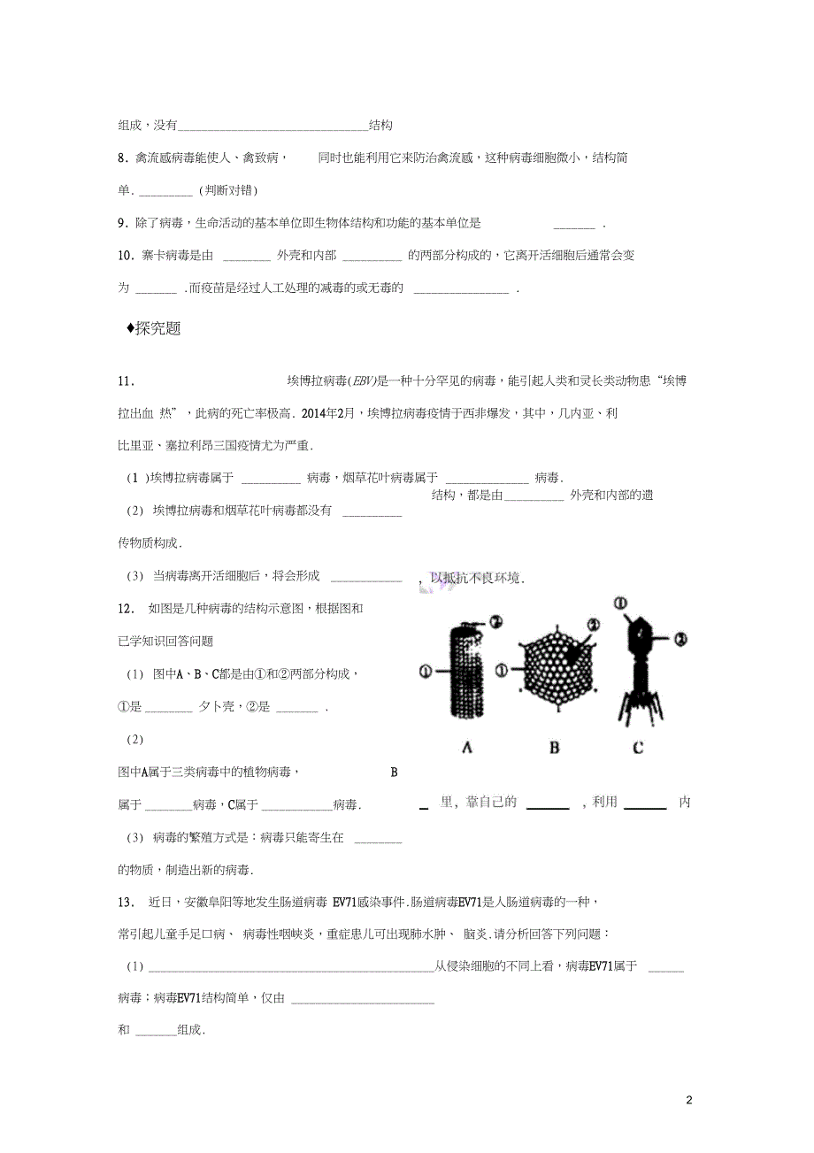 八年级生物上册5.5《病毒》练习新_第2页