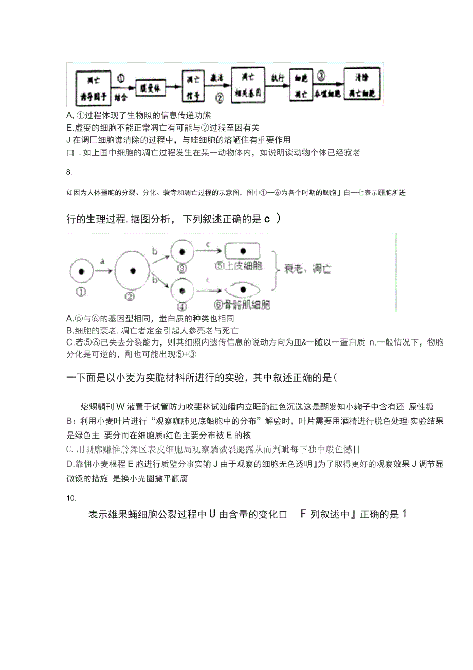 福建省莆田八中2015届高三上学期第三次月考生物试题含答案_第2页