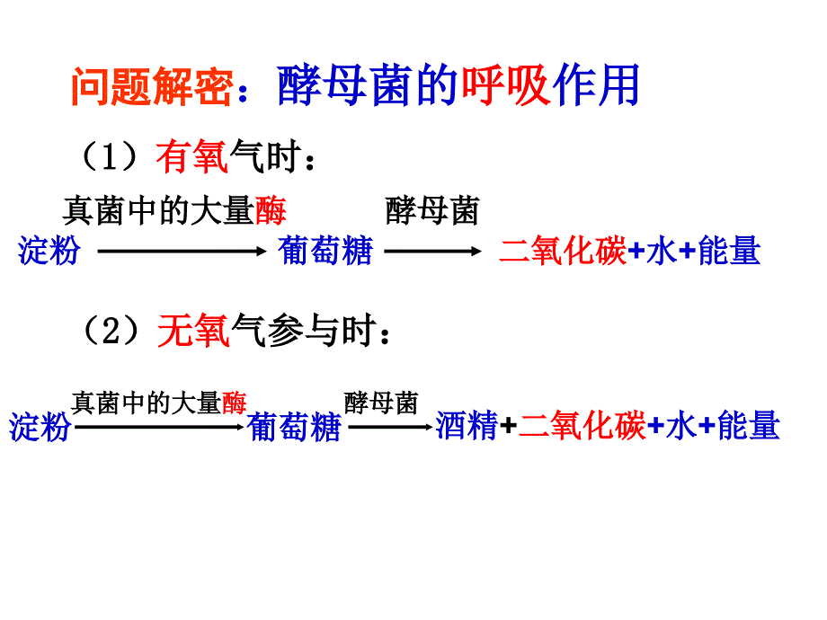 第五节人类对细菌和真菌的利用课件(人教版八年级上)_第4页