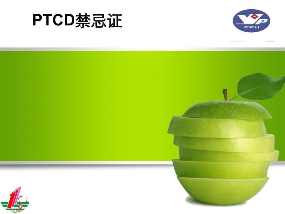 PTCD引流管的护理_第5页