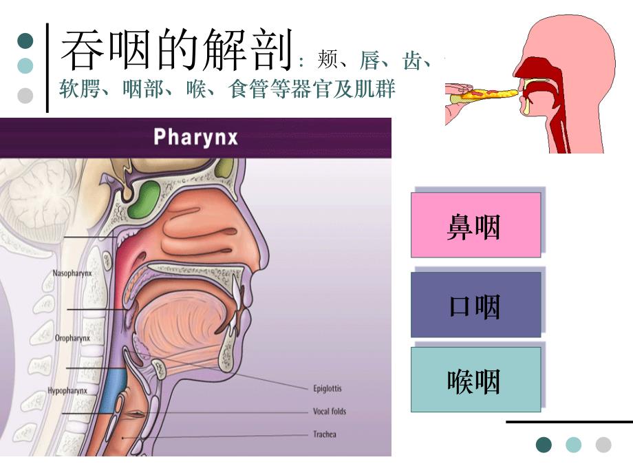 卒中后营养及吞咽困难的管理课件_第4页