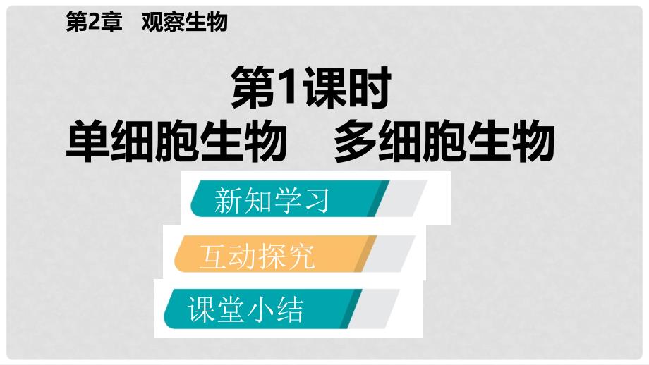 七年级科学上册 第2章 观察生物 第6节 物种的多样性 2.6.1 单细胞生物 多细胞生物课件 （新版）浙教版_第2页