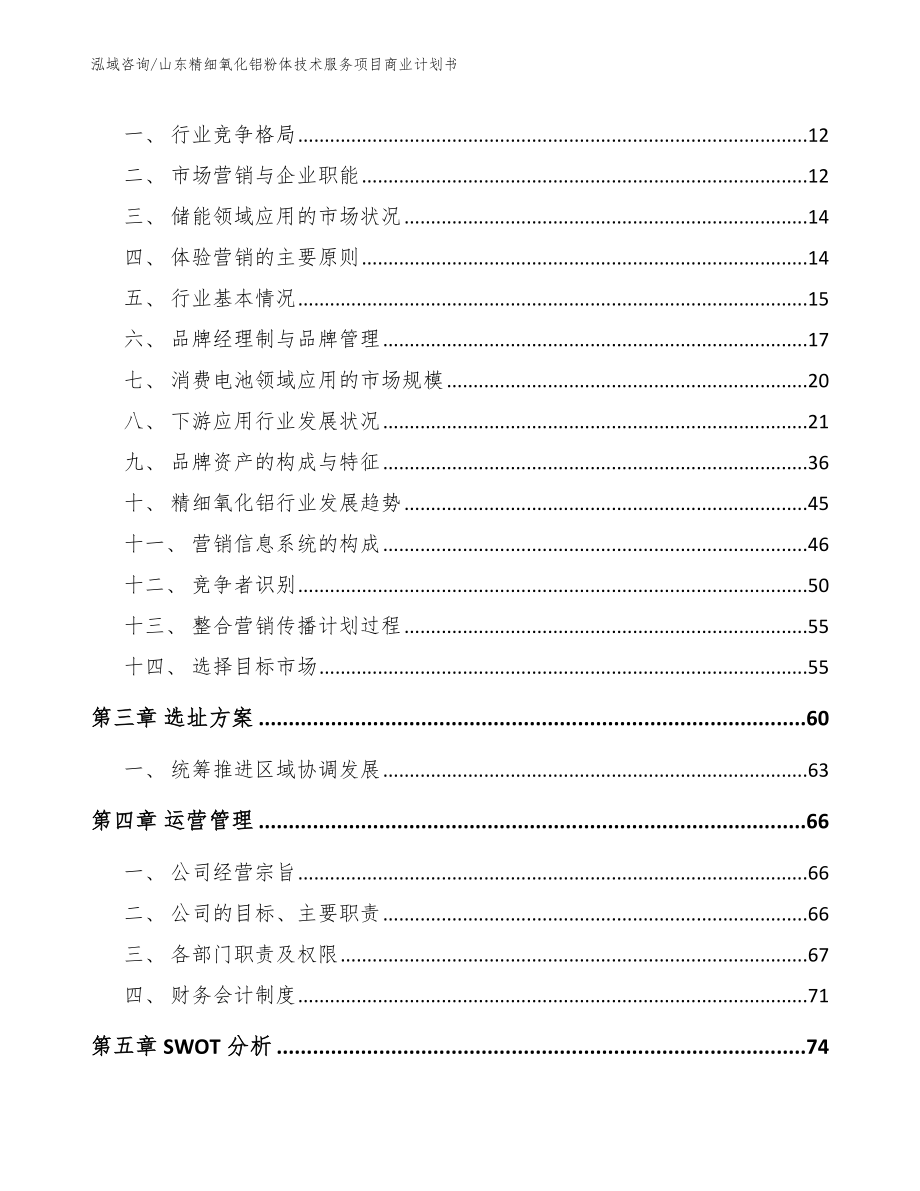 山东精细氧化铝粉体技术服务项目商业计划书_第4页