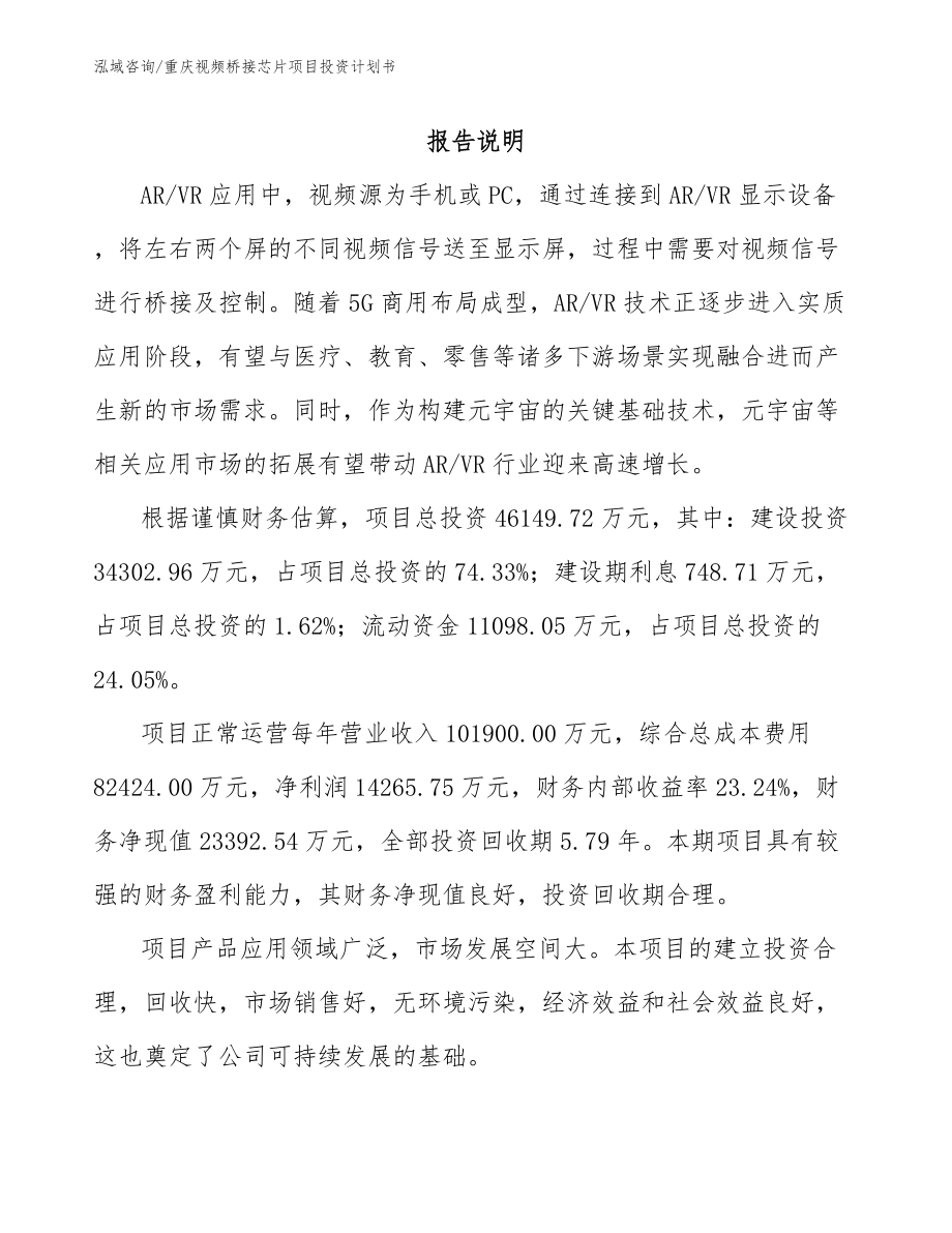 重庆视频桥接芯片项目投资计划书（模板）_第2页