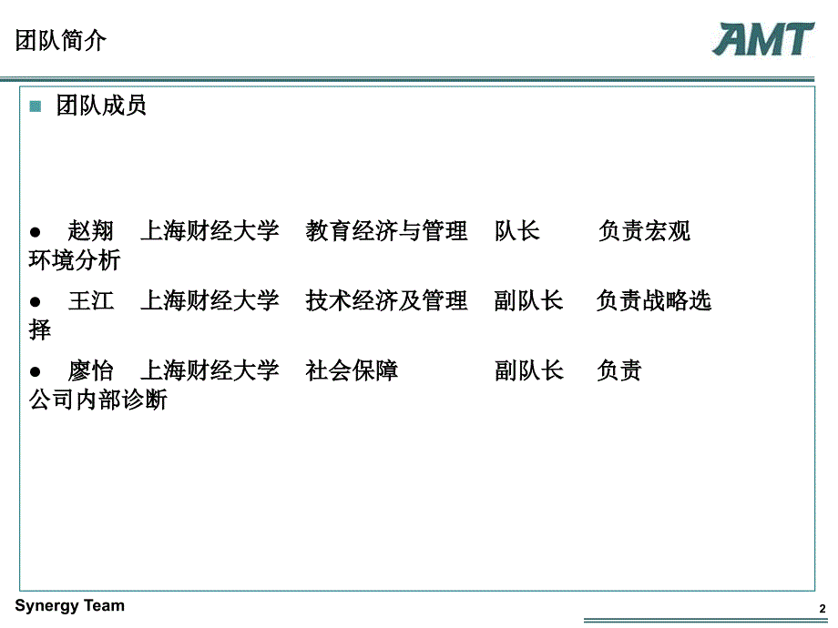 AMT理想集团战略咨询建议_第2页