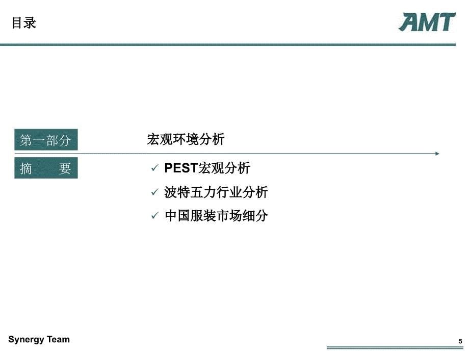 AMT理想集团战略咨询建议_第5页