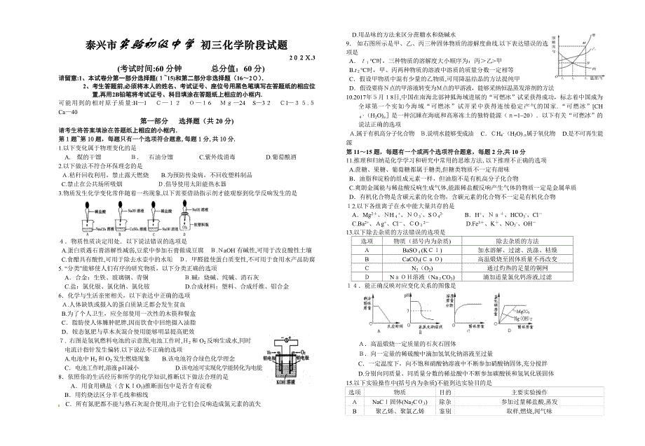 3月泰兴市实验初中初三化学阶段试卷