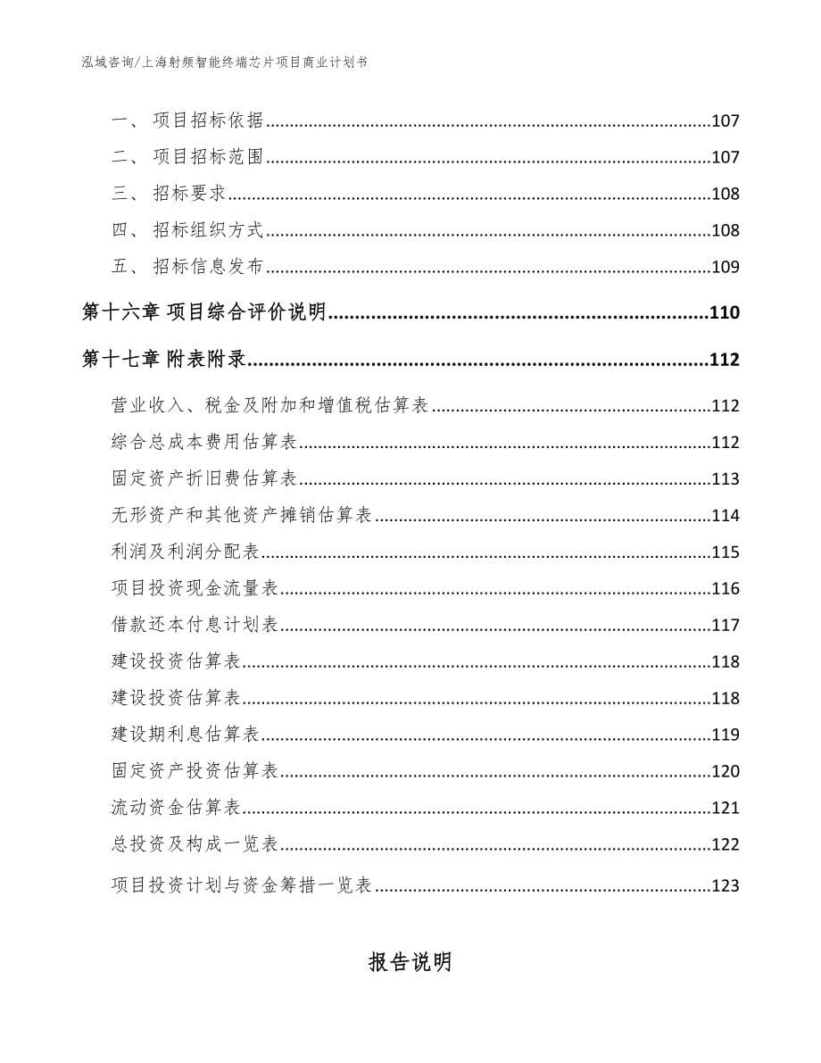 上海射频智能终端芯片项目商业计划书【模板范本】_第5页