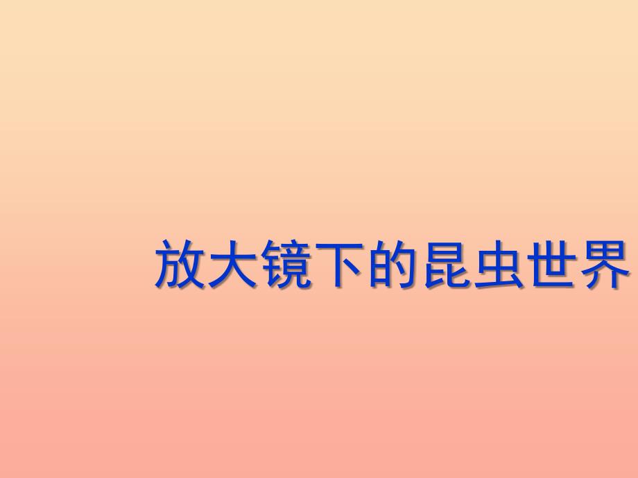 六年级科学下册 第一单元 微小世界 2《放大镜下的昆虫世界》课件2 教科版_第2页