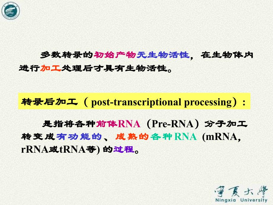 真核生物转录后的加工.ppt_第2页