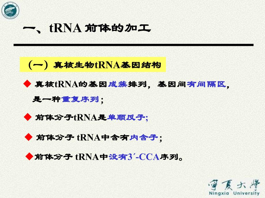 真核生物转录后的加工.ppt_第4页