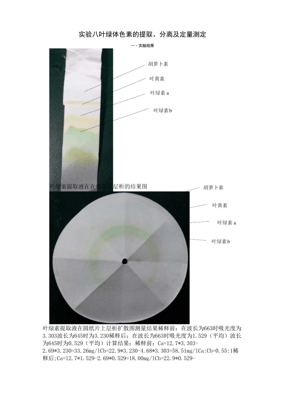 实验八 叶绿体色素的提取、分离及定量测定_第1页