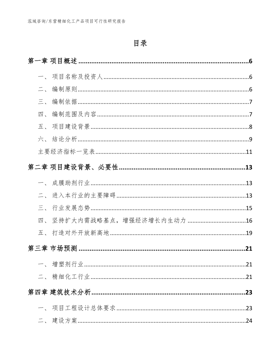 东营精细化工产品项目可行性研究报告模板范文_第1页