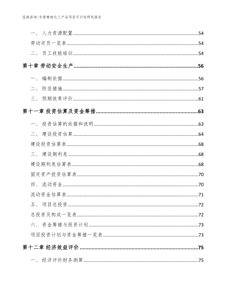 东营精细化工产品项目可行性研究报告模板范文_第3页