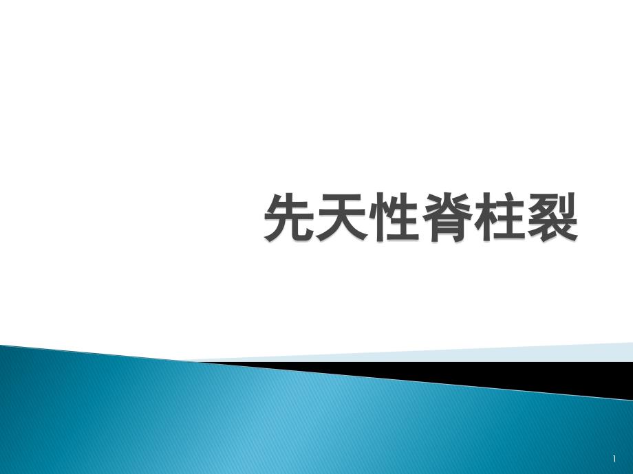 推荐精选先天性脊柱裂_第1页