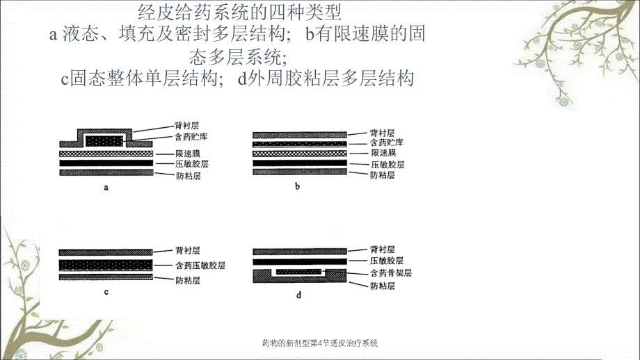 药物的新剂型第4节透皮治疗系统_第5页