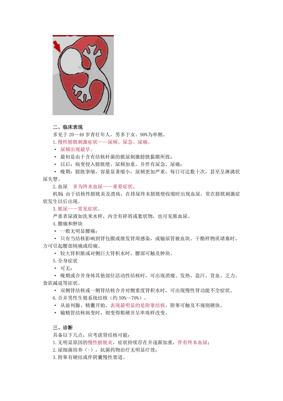 第五章 肾结核.doc_第3页