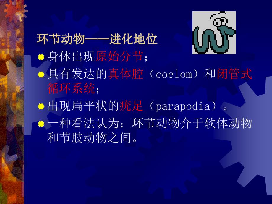 动物生物学七、环节动物Microsoft-PowerPoint-演示文稿学习资料_第3页