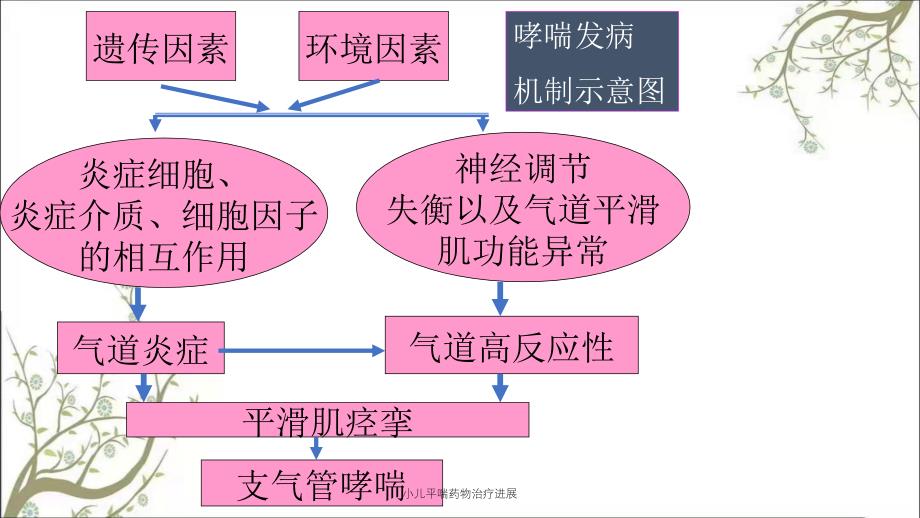 小儿平喘药物治疗进展_第3页