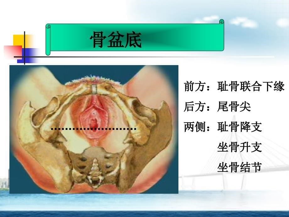 推荐会阴切开与缝合术_第5页