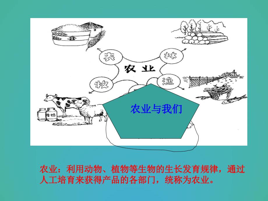 粤人教版地理八年级上册第四章第1节农业课件1共26张PPT_第4页