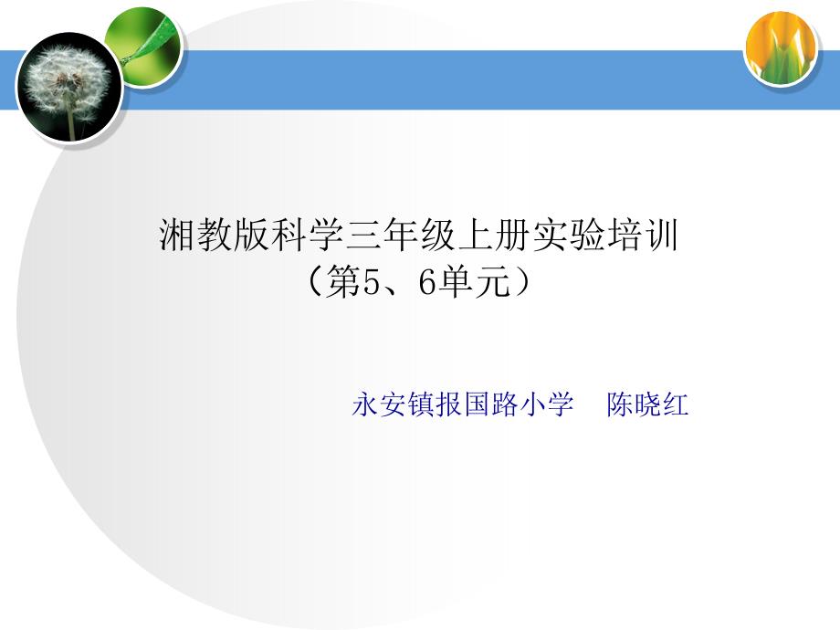 湘教版科学三年级上5、6单元实验操作课件_第1页