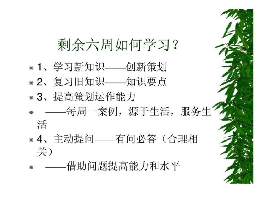 市场营销策划14_第2页