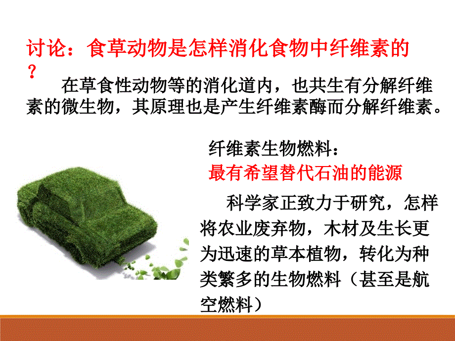 专题 2.3 分解纤维素的微生物的分离_第2页