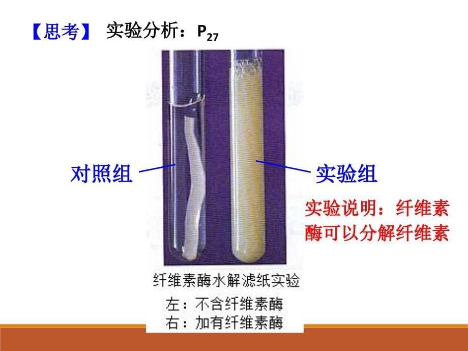 专题 2.3 分解纤维素的微生物的分离_第5页