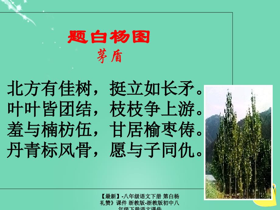 最新八年级语文下册第白杨礼赞课件浙教版浙教版初中八年级下册语文课件_第2页