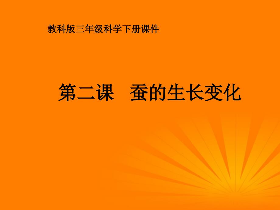 三年级科学下册_蚕的生长变化_3课件_教科版_第1页