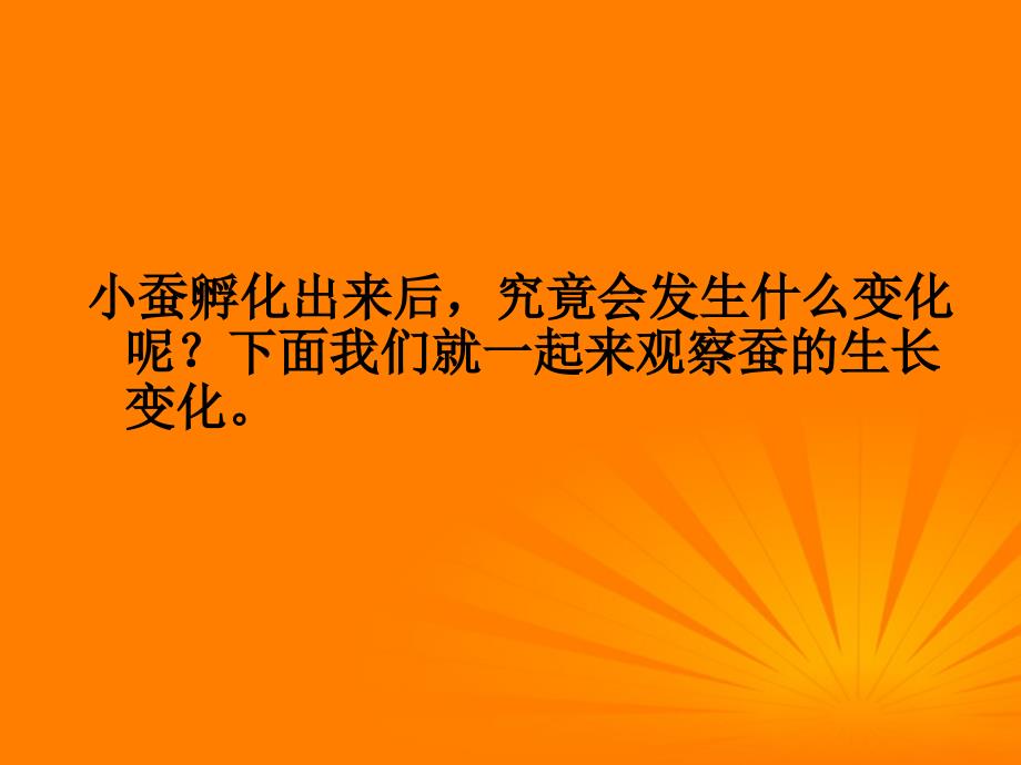 三年级科学下册_蚕的生长变化_3课件_教科版_第2页