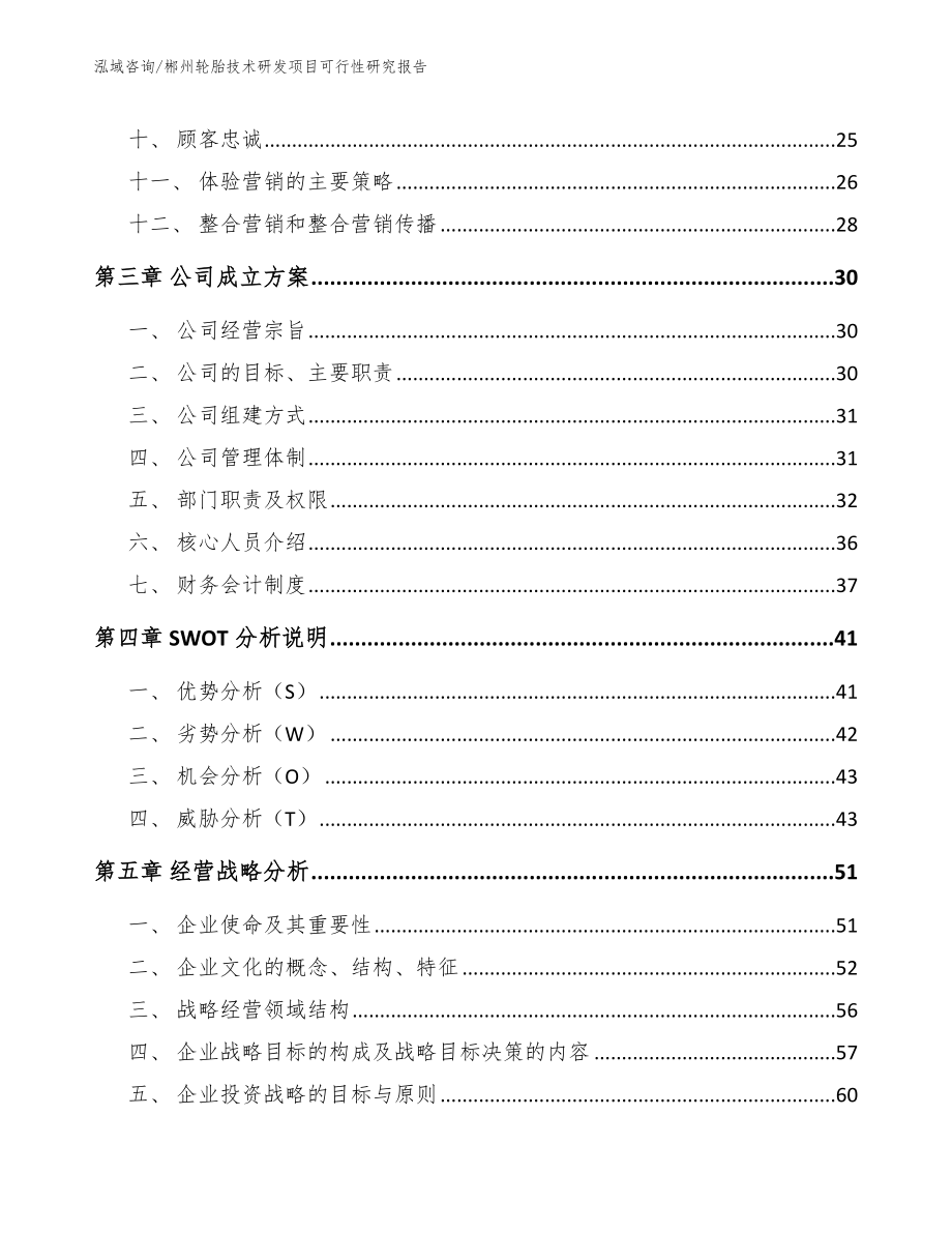 郴州轮胎技术研发项目可行性研究报告_第2页