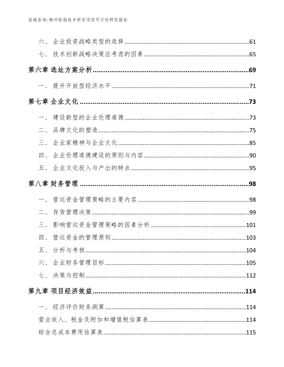 郴州轮胎技术研发项目可行性研究报告_第3页