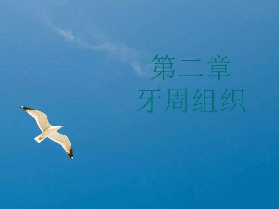 第二章牙周组织ppt课件_第1页
