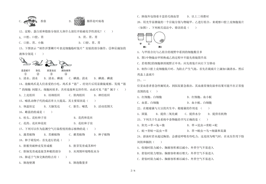 冀教版七年级生物上册期末测试卷及答案【A4版】.doc_第2页