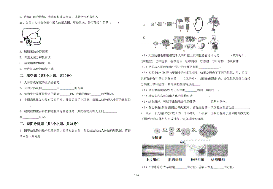 冀教版七年级生物上册期末测试卷及答案【A4版】.doc_第3页