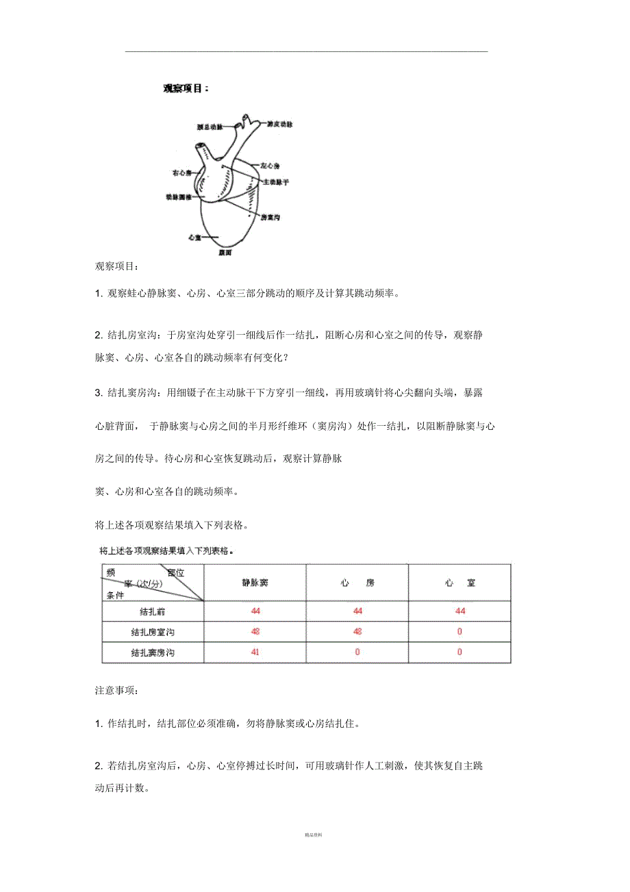 生理实验分析_第4页