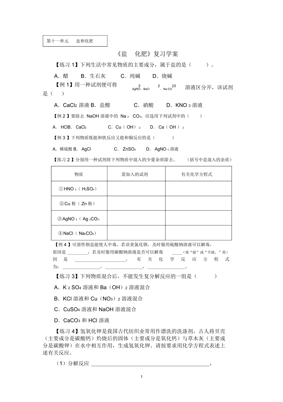 《盐化肥》复习学案_第1页