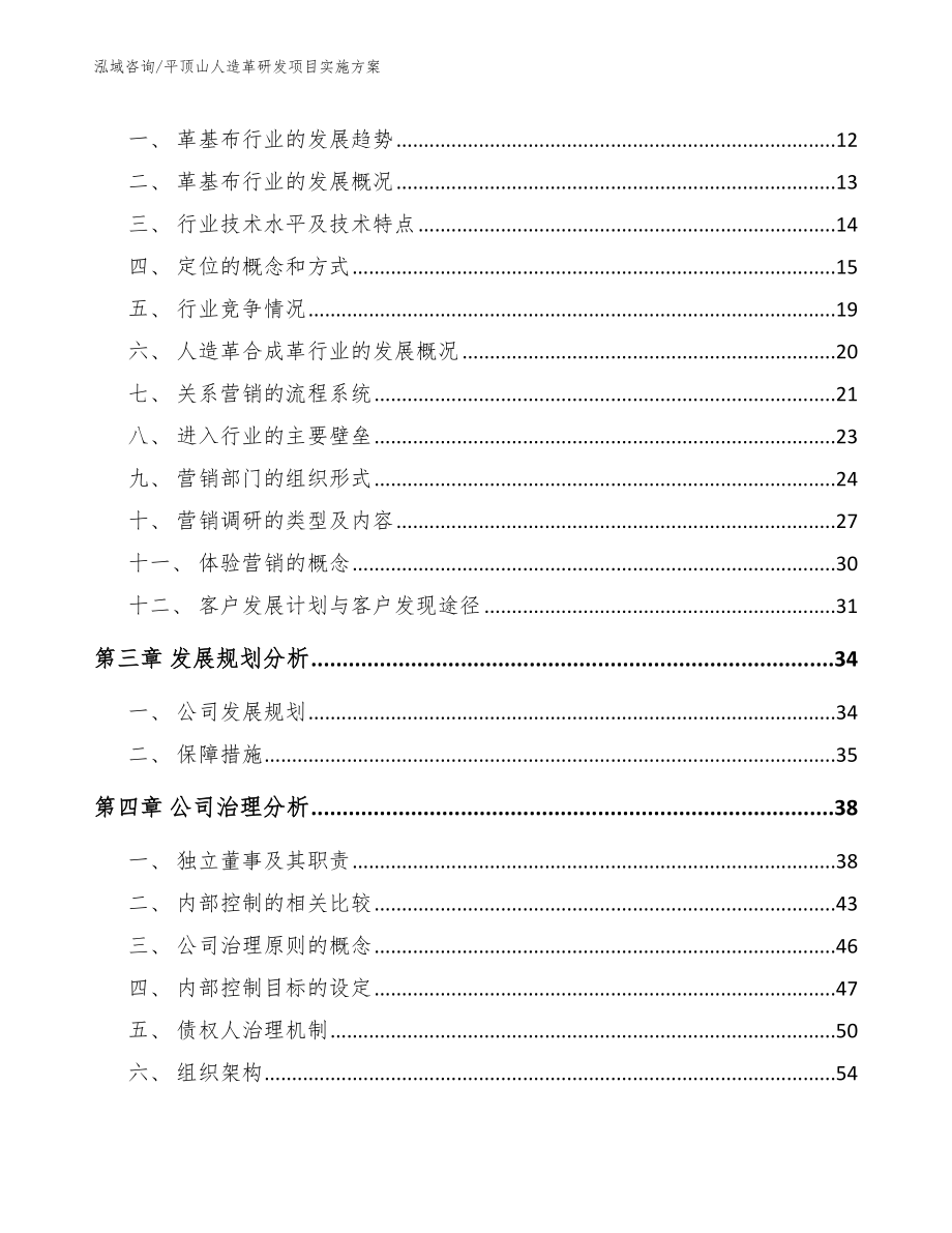 平顶山人造革研发项目实施方案_模板范本_第3页