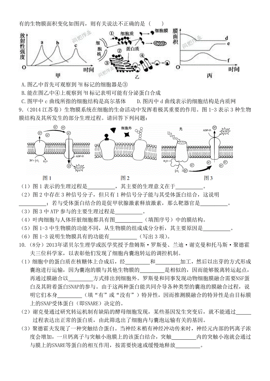 细胞器的分工合作-一轮复习学案-张玉贞.doc_第4页