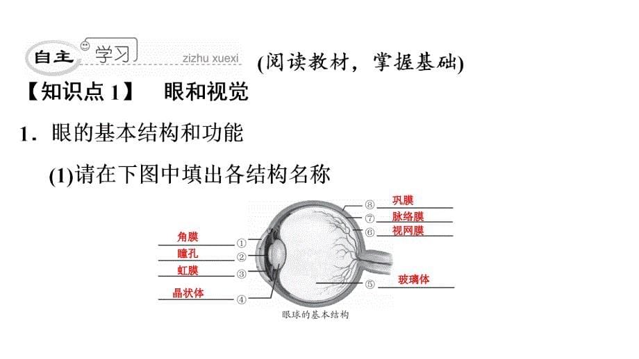 第四单元第六章第一节_第5页