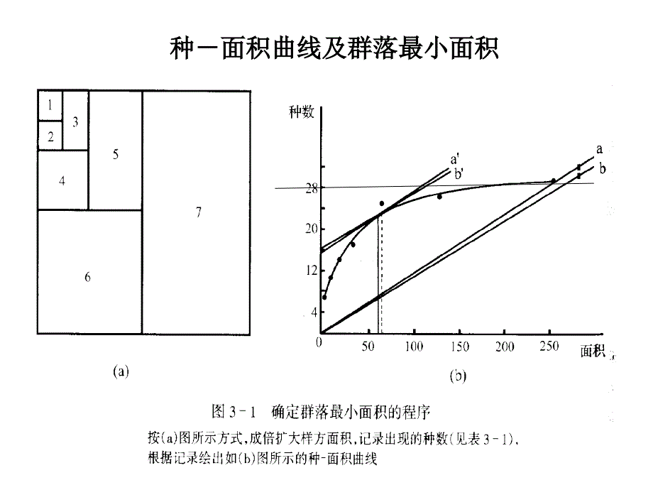 群落多样性与稳定性.ppt_第3页