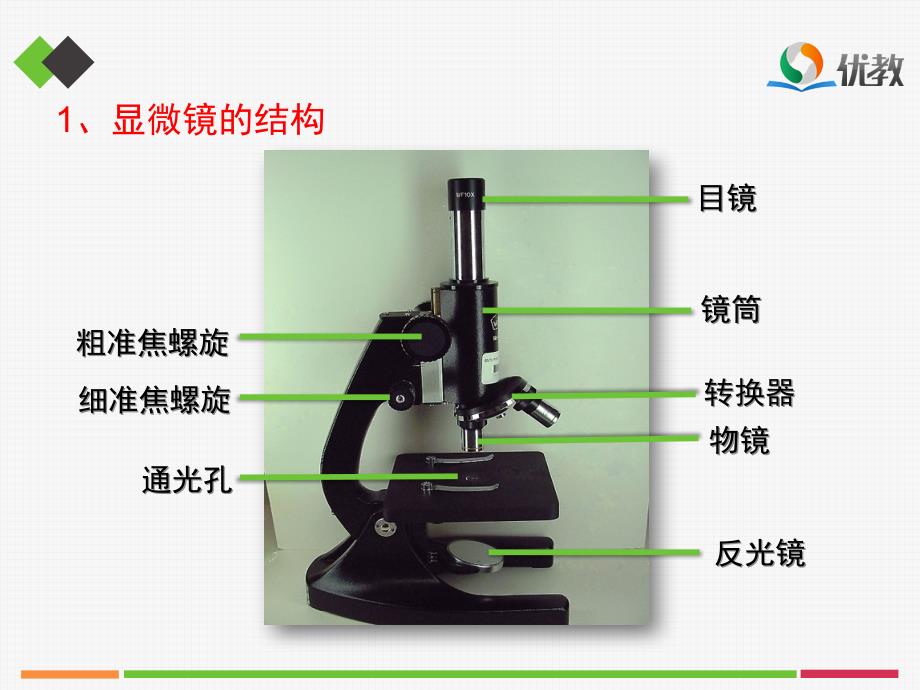 细胞是生命活动的基本单位复习课件1_第3页