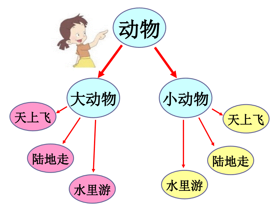 寻访小动物课件_第2页