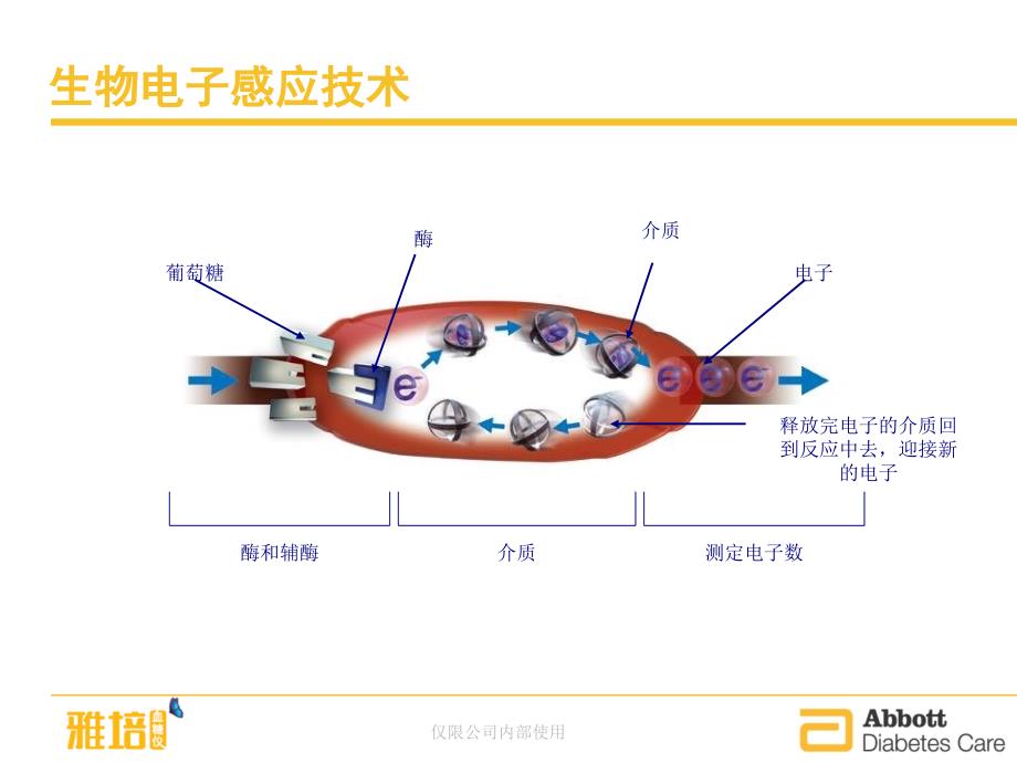 雅培安妥超越血糖仪标准操作流程_第4页